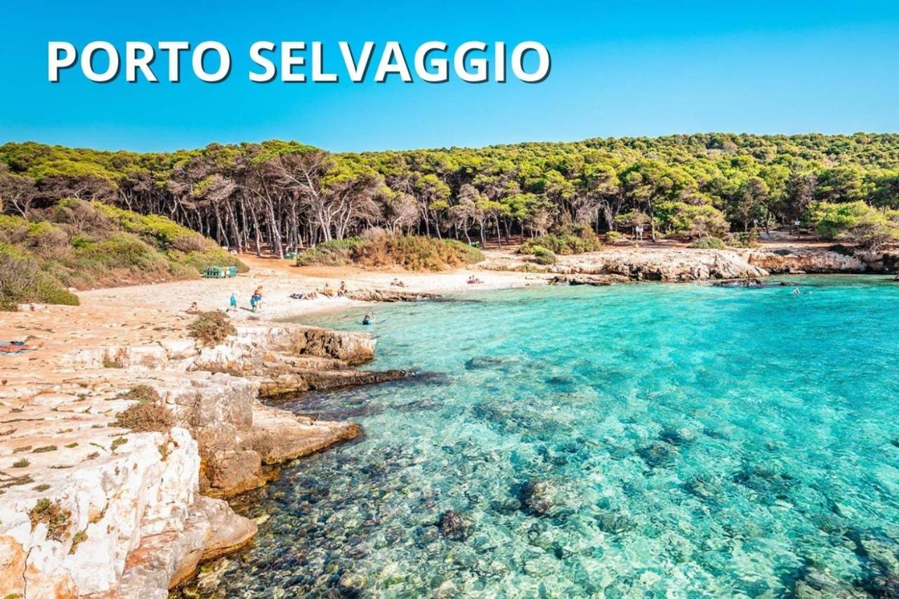 Delfino - Ampio Appartamento A 40 Metri Dalla Spiaggia Lido Conchiglia Экстерьер фото